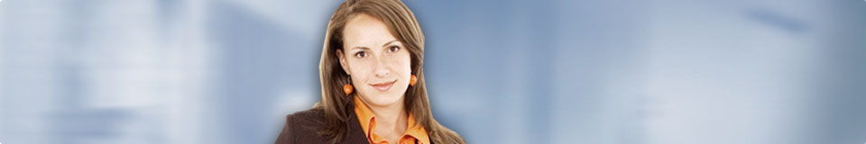 seo kurs