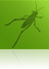 Grasshopper - Für Rhino 3D Anwender:innen