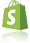 Kurs Shopify