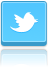 Twitter erfolgreich nutzen